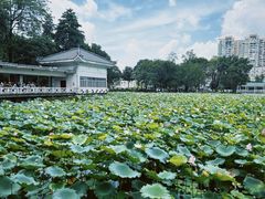 -荔湾湖公园