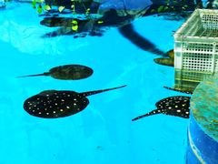 -泉城欧乐堡海洋极地世界