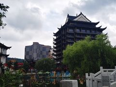 -长兴太湖图影湿地文化园