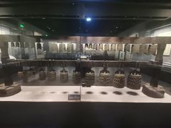-荆州博物馆