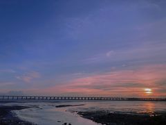 -宝安西湾红树林湿地公园