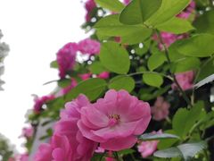 -黄浦路(地铁站)