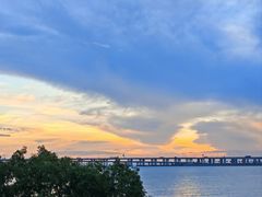 -宝安西湾红树林湿地公园