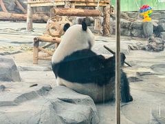 -武汉动物园