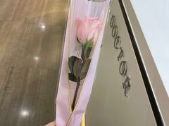 -牙博士口腔品牌连锁(杨浦店)