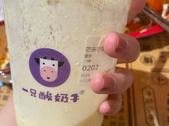 -一只酸奶牛(八一路店)