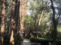 -同里国家湿地公园