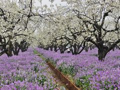 -江苏三台山国家森林公园