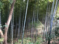 -天目湖山水园
