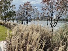 -上海山野camping·户外天幕烧烤·团建拓展营地