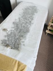 -姜美堂·蒸姜除湿の纤体美颜馆