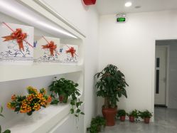 -莱可美科技美肤