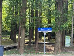 -南京市无想山景区