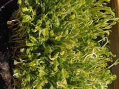 -热火朝天鲜切牛肉火锅(南强街巷店)