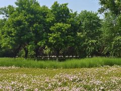 -汉长安城未央宫国家考古遗址公园