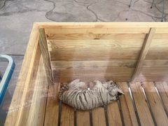 -宁波野生动物园