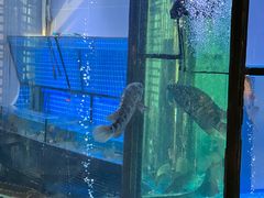 -王家渡火锅店(棕榈泉店)