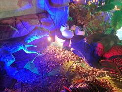 点击看大图 -恐龙探索乐园(磁器口店)