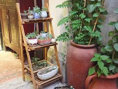 -猫色咖啡·猫咖