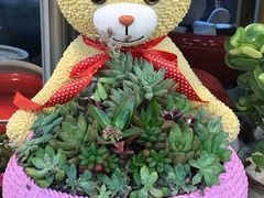 -双季花艺园艺市场(浦东店)