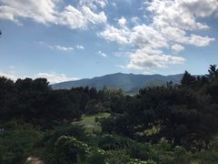 -国家植物园南园