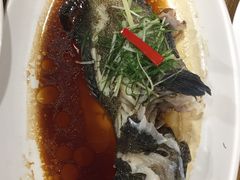 -寻味顺德·南记酒家·传统顺德菜·鱼生(广源路店)