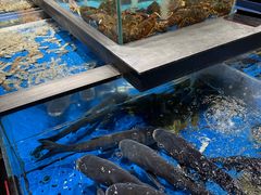 -炊江南·上海菜(国展华漕店)