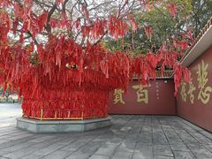 -广州莲花山旅游区