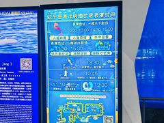 -泉城欧乐堡海洋极地世界