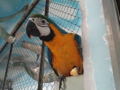 -石家庄市动物园