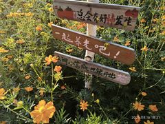 -天目湖山水园