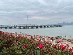 -深圳湾公园(南山区)