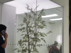 -极简口腔(总院)