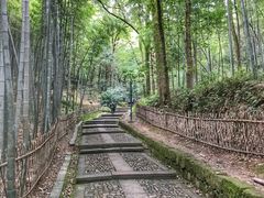 -杭州黄龙洞
