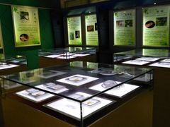 -上海昆虫博物馆