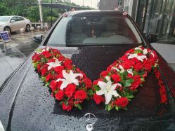 -蚂蚁婚车