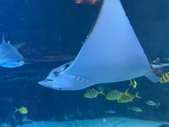 -成都浩海立方海洋公园