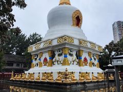 -护国法轮寺