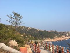-广东惠东海龟国家级自然保护区