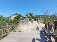 -大岭沟猕猴桃谷风景区
