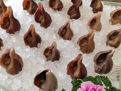 -金翠皇宫粤菜·点心·海鲜(科技园店)