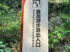 -龙井村