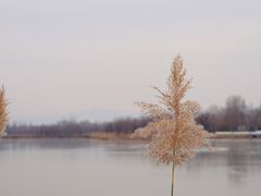 -野鸭湖国家湿地公园