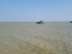 -澳门环岛游湾仔码头