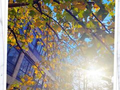 -上海海事大学(临港校区)