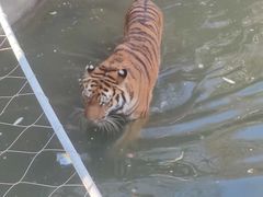 -无锡动物园·太湖欢乐园