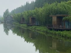 -黄海国家森林公园