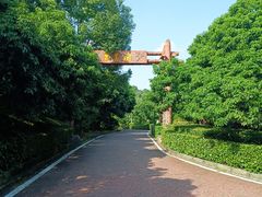 -大屏嶂森林公园