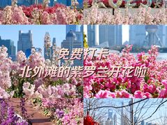 -上海港国际客运中心