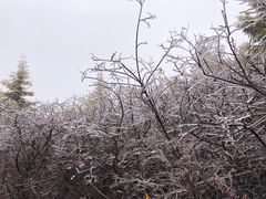 -苏木山森林公园